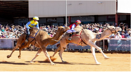 Boulia Camel Races (QLD)